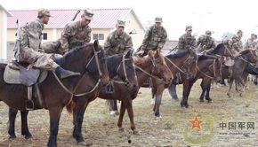 骑兵连在线观看,重温经典战火岁月  第3张