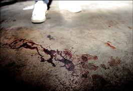 血腥片在线观看,在线惊悚片盛宴 第1张 血腥片在线观看,在线惊悚片盛宴 第1张