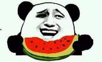 娱乐吃瓜君遛鸟大师,遛鸟大师的传奇人生 第2张 娱乐吃瓜君遛鸟大师,遛鸟大师的传奇人生 第2张